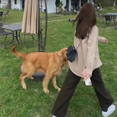 圣光不好惹